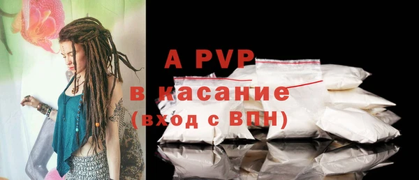 стафф Белокуриха