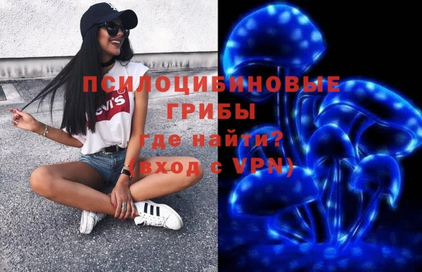 гашик Беломорск