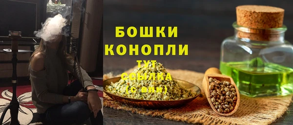 гашик Беломорск